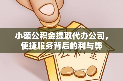 三亚小额公积金提取代办公司，便捷服务背后的利与弊