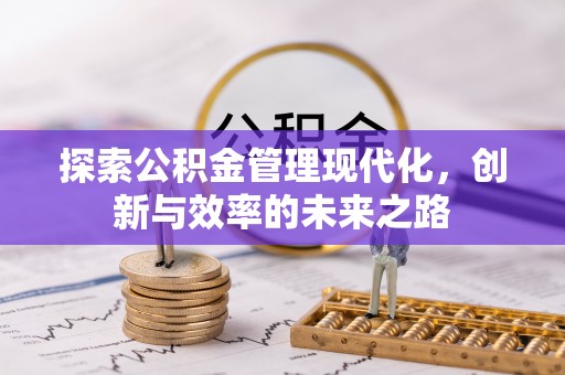三亚探索公积金管理现代化，创新与效率的未来之路