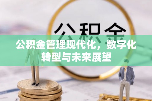 三亚公积金管理现代化，数字化转型与未来展望