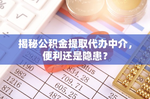 三亚揭秘公积金提取代办中介，便利还是隐患？