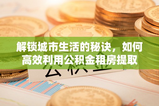 三亚解锁城市生活的秘诀，如何高效利用公积金租房提取