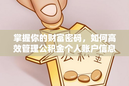 三亚掌握你的财富密码，如何高效管理公积金个人账户信息