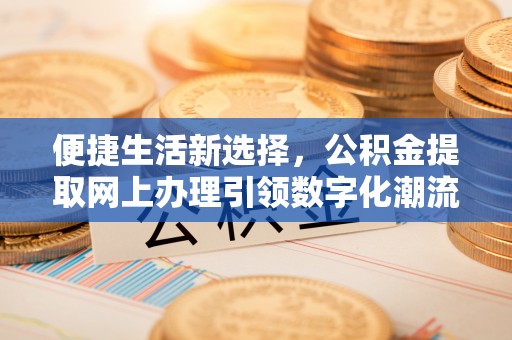 三亚便捷生活新选择，公积金提取网上办理引领数字化潮流
