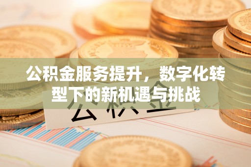 三亚公积金服务提升，数字化转型下的新机遇与挑战