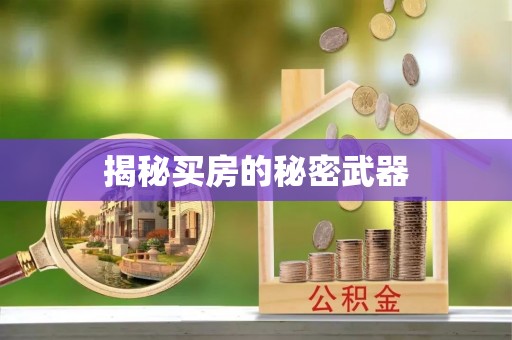 三亚揭秘买房的秘密武器