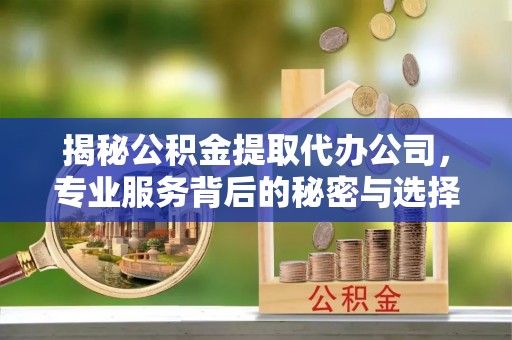 三亚揭秘公积金提取代办公司，专业服务背后的秘密与选择指南