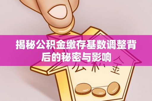 三亚揭秘公积金缴存基数调整背后的秘密与影响