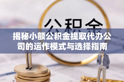 三亚揭秘小额公积金提取代办公司的运作模式与选择指南