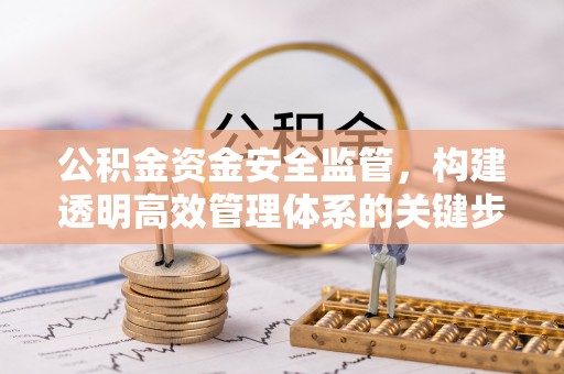三亚公积金资金安全监管，构建透明高效管理体系的关键步骤