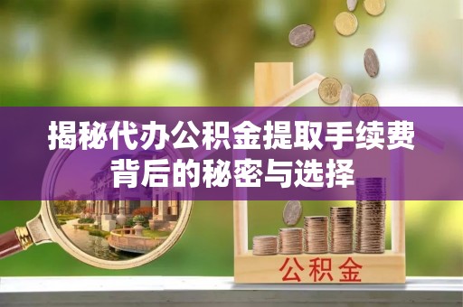 三亚揭秘代办公积金提取手续费背后的秘密与选择