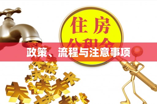 三亚政策、流程与注意事项