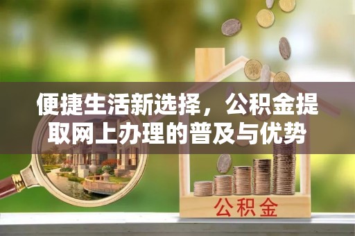 三亚便捷生活新选择，公积金提取网上办理的普及与优势