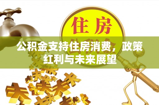 三亚公积金支持住房消费，政策红利与未来展望
