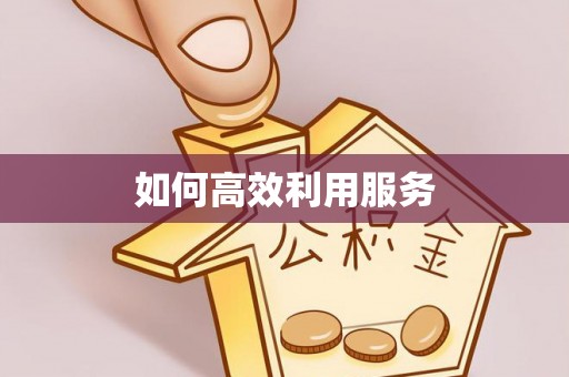 三亚如何高效利用服务