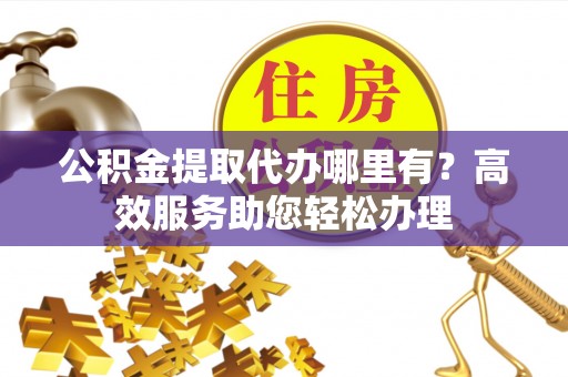 三亚公积金提取代办哪里有？高效服务助您轻松办理