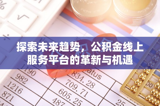 三亚探索未来趋势，公积金线上服务平台的革新与机遇