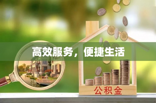 三亚高效服务，便捷生活