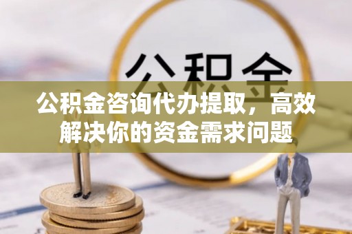 三亚公积金咨询代办提取，高效解决你的资金需求问题