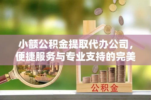 三亚小额公积金提取代办公司，便捷服务与专业支持的完美结合
