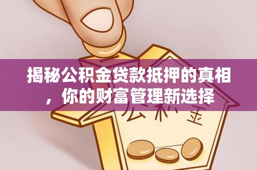三亚揭秘公积金贷款抵押的真相，你的财富管理新选择