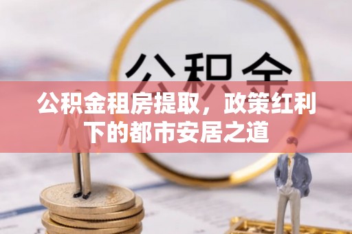 三亚公积金租房提取，政策红利下的都市安居之道