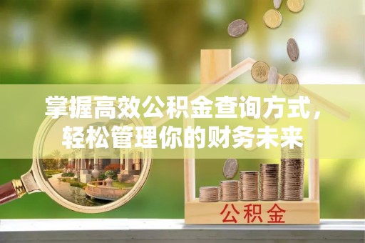 三亚掌握高效公积金查询方式，轻松管理你的财务未来