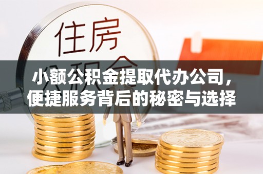 三亚小额公积金提取代办公司，便捷服务背后的秘密与选择指南