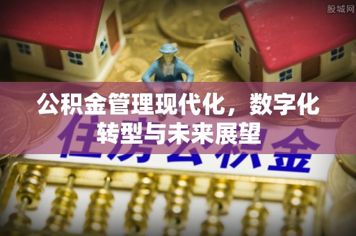 三亚公积金管理现代化，数字化转型与未来展望