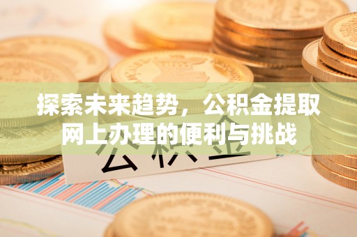 三亚探索未来趋势，公积金提取网上办理的便利与挑战
