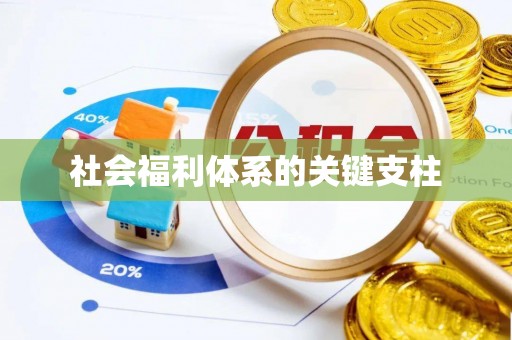 三亚社会福利体系的关键支柱