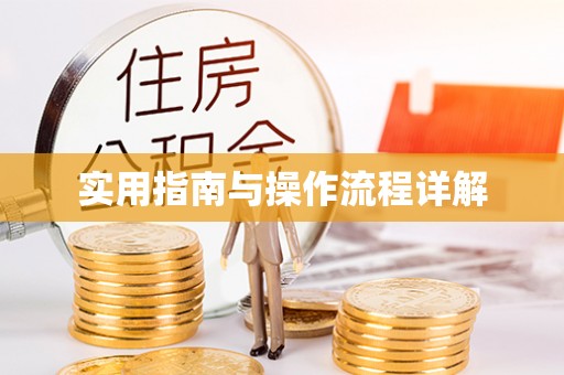 三亚实用指南与操作流程详解