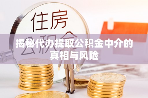 三亚揭秘代办提取公积金中介的真相与风险