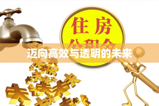 三亚迈向高效与透明的未来