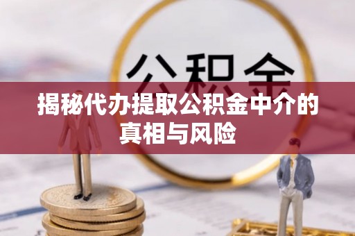 三亚揭秘代办提取公积金中介的真相与风险