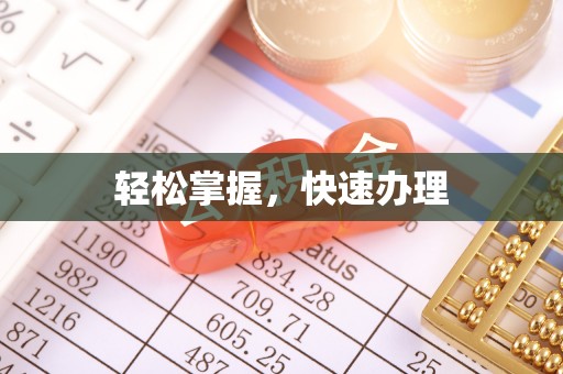 三亚轻松掌握，快速办理