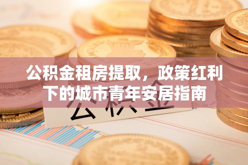 三亚公积金租房提取，政策红利下的城市青年安居指南