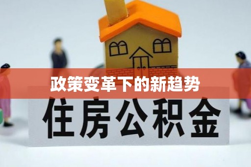 三亚政策变革下的新趋势
