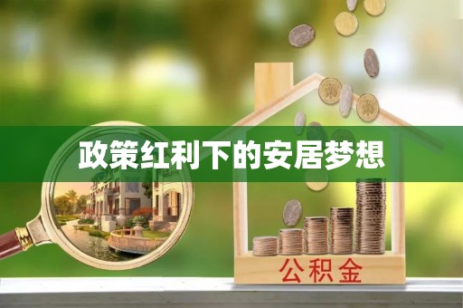 三亚政策红利下的安居梦想
