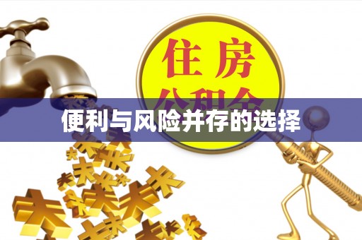 三亚便利与风险并存的选择
